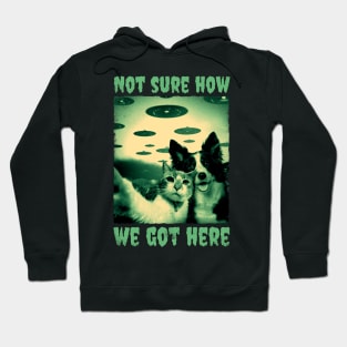 Dog and Cat UFO Hoodie